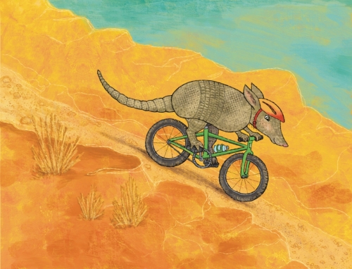 Armadillo Biking