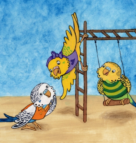 Parakeet Playground
