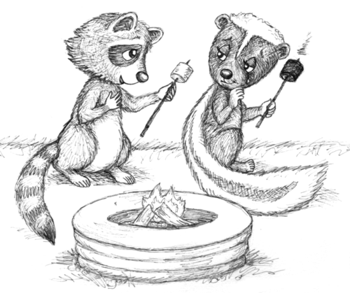 raccoon & skunk